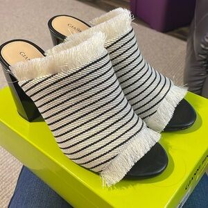 Gianni Bini Slides